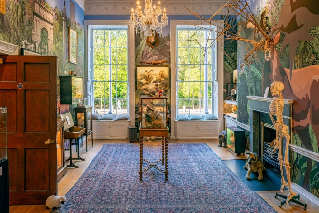 The Animals of Dublin room in the Little Museum