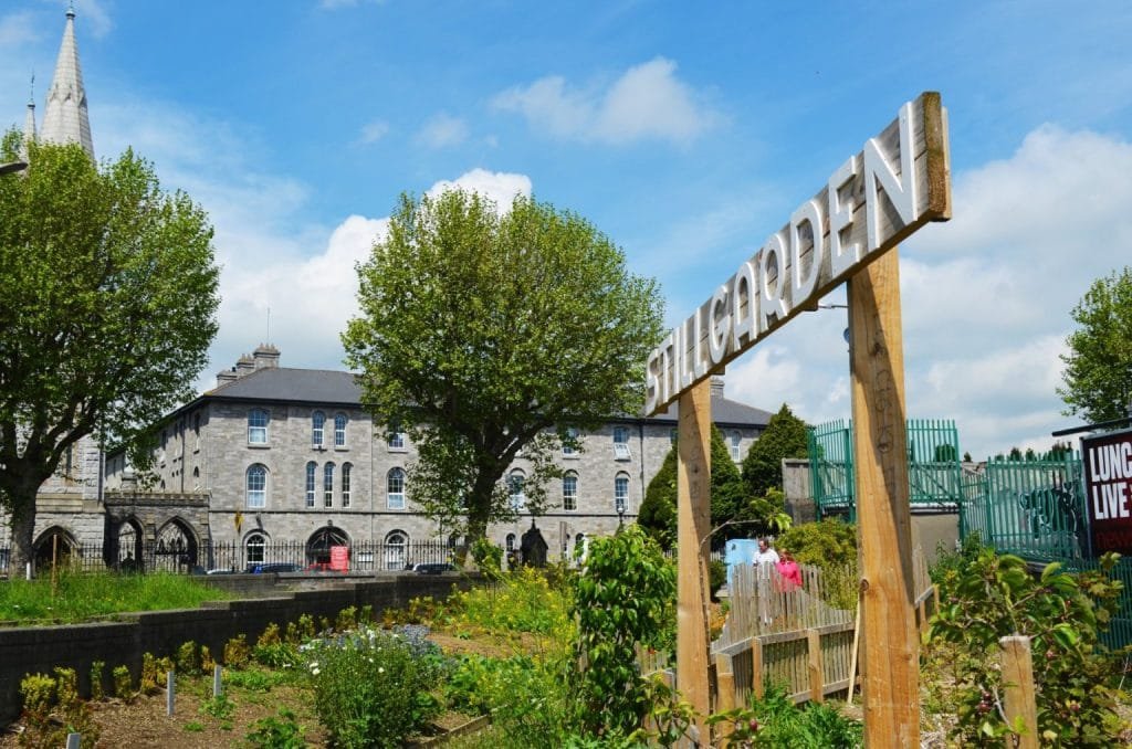 Stillgarden Distillery – Gin Tasting Class
