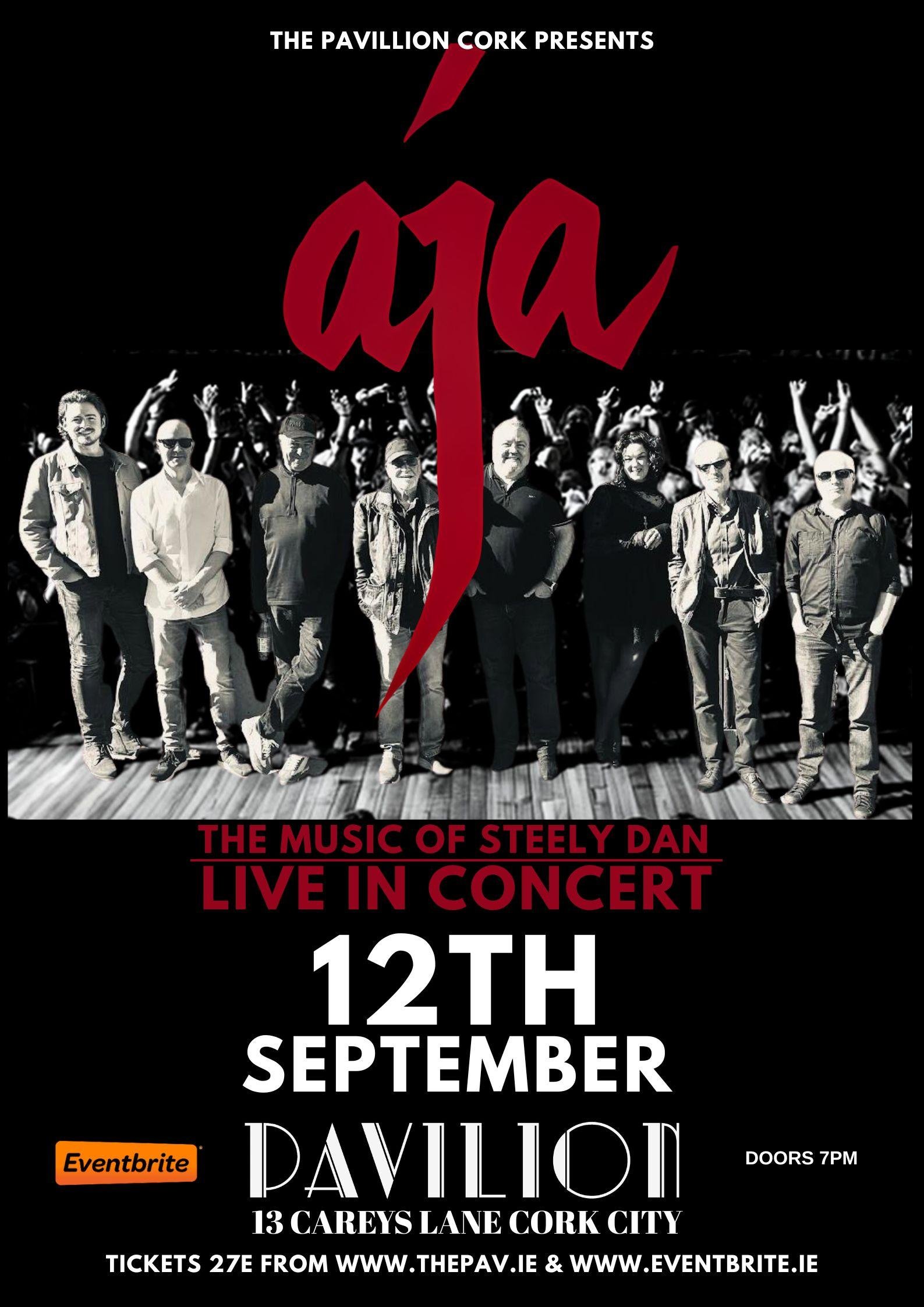 AJA – A Tribute to Steely Dan – Live at The Pavillion Cork