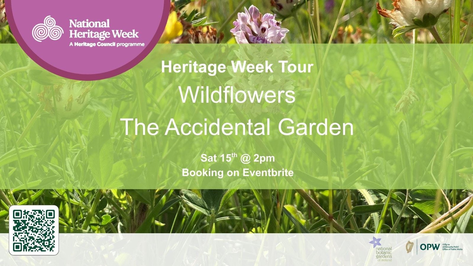 National Heritage Week: Wildflowers: The Accidental Garden