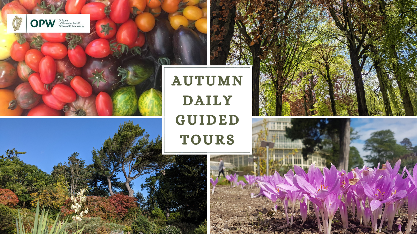 Autumn Daily Guided Tours