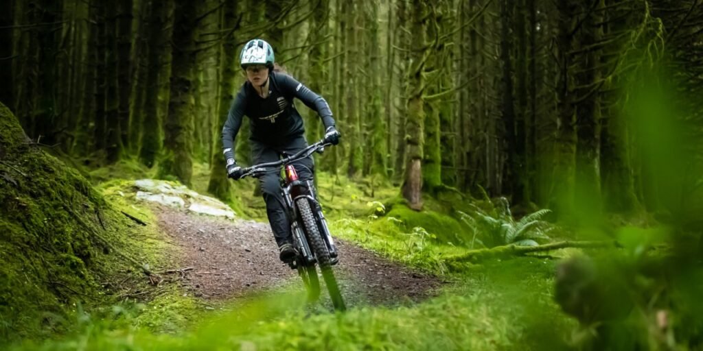 Ballymahon Forest Trail Adventure