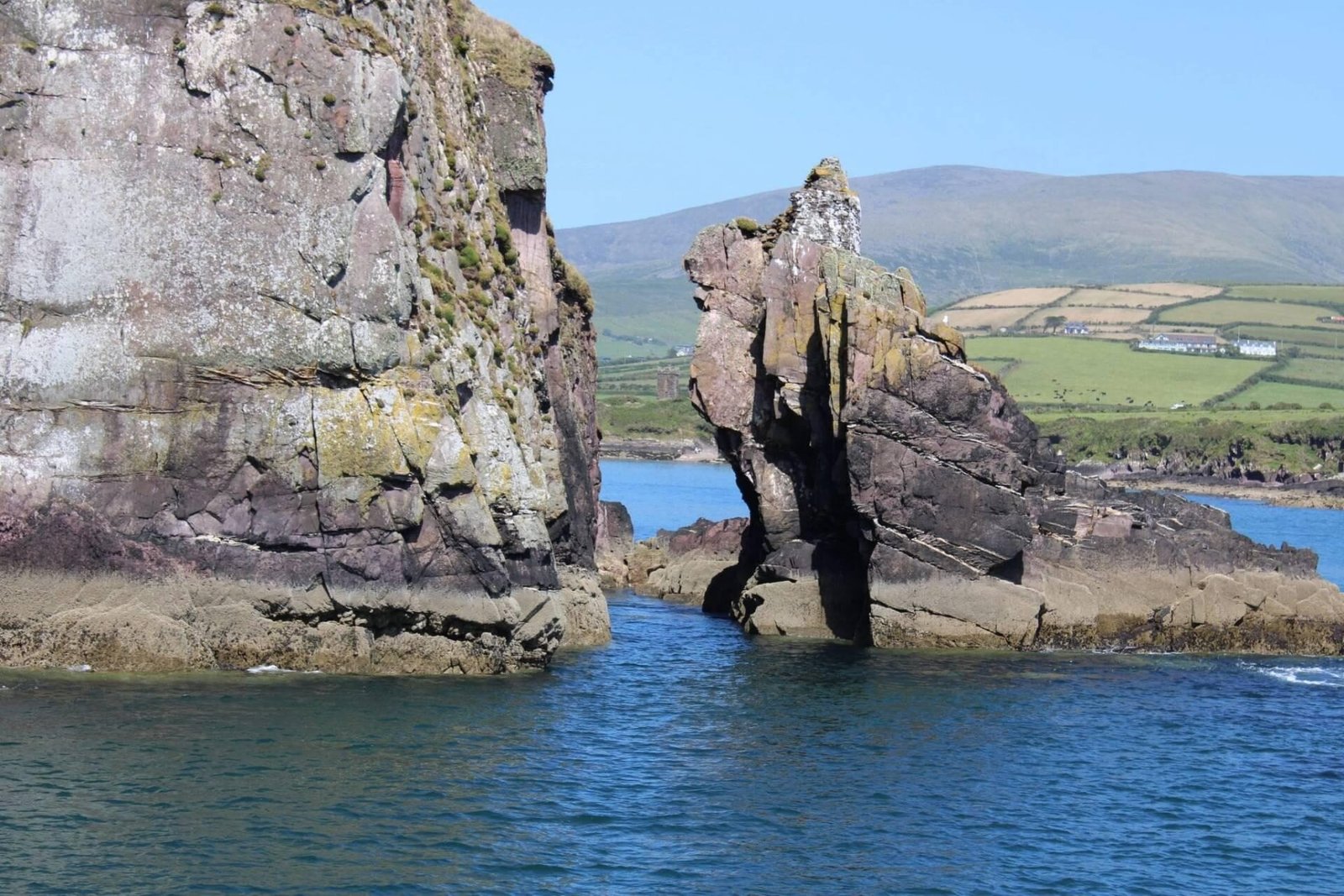 Dingle Bay Cliffs Boat Tour with Guide