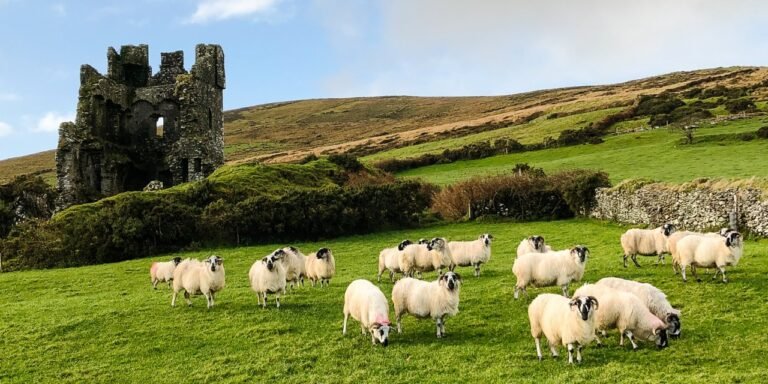 Dingle Peninsula Photography Tour