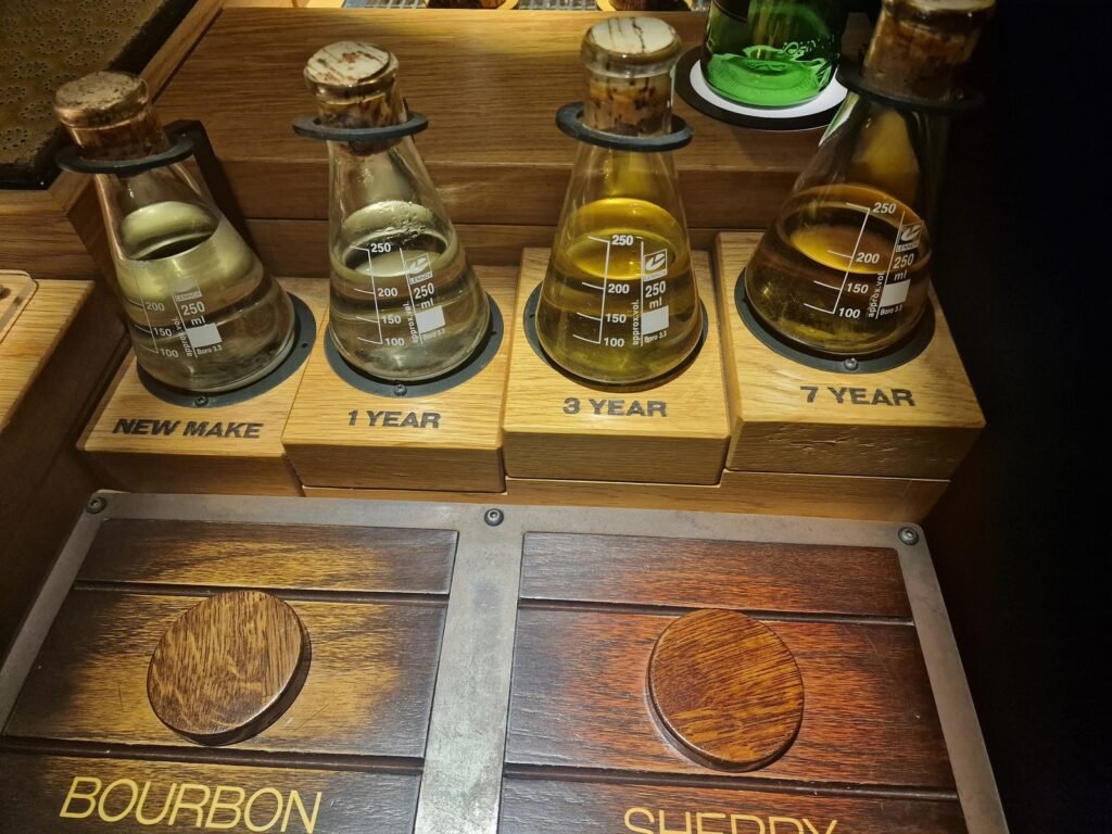 Dublin Night Tour: Jameson Whiskey Experience, Historic Pubs & Irish Music Tour Spanish