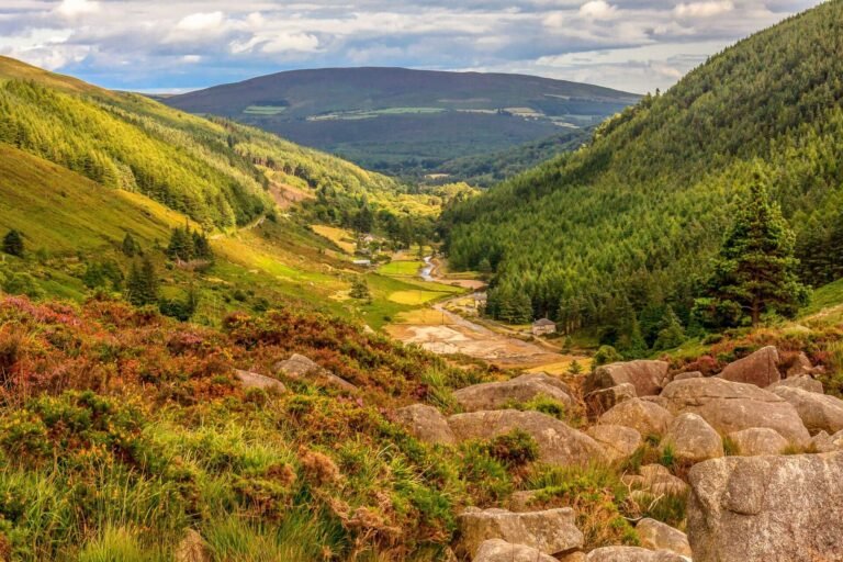 From Dublin: Wild Wicklow Mountains Day Trip to Glendalough