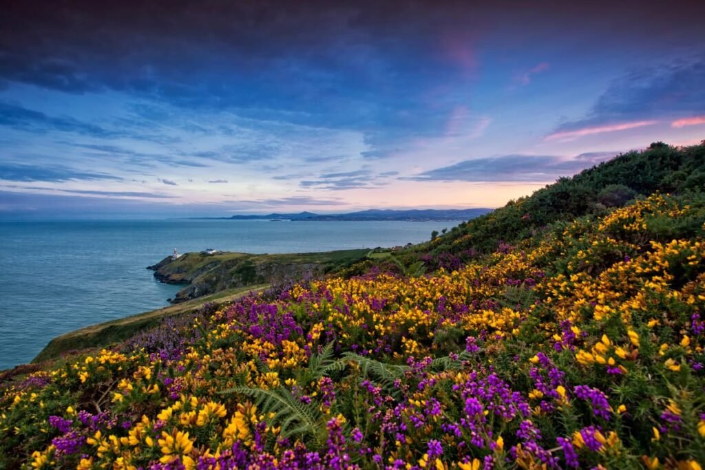 Half-Day Guided Coastal Tour to Howth Village