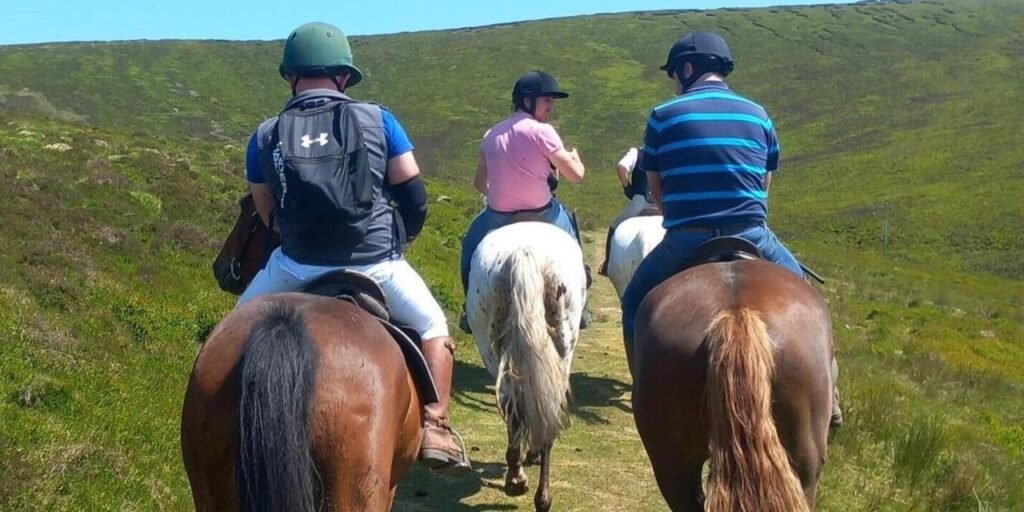 Hollywood Horse and Pony Trekking