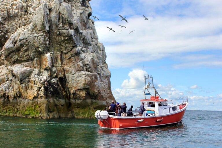 Howth Coastal Boat Tour