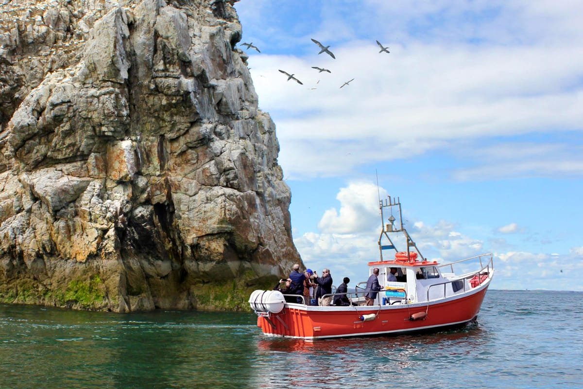 Howth Coastal Boat Tour