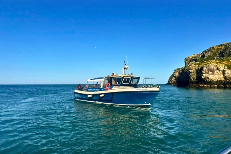 Ireland's Eye and Howth Coast Boat Tour