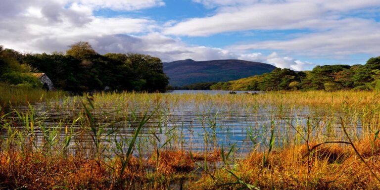 Killarney Boat Trip Return Journey