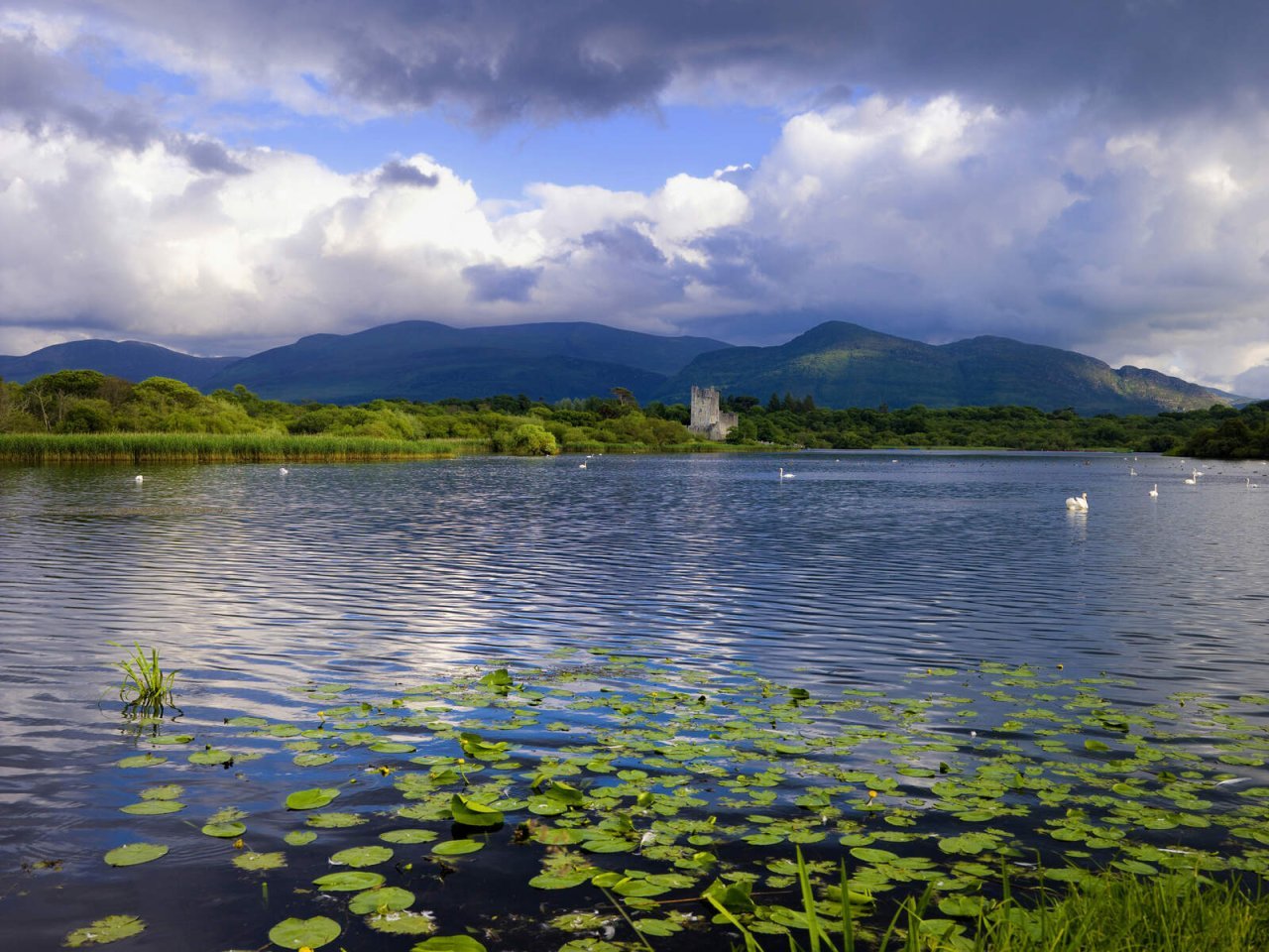 Lily of Killarney Boat Tour