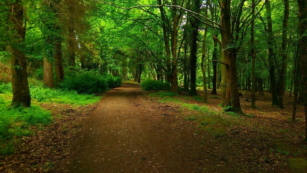 Mybikeorhike - Trails and Tombs Tour