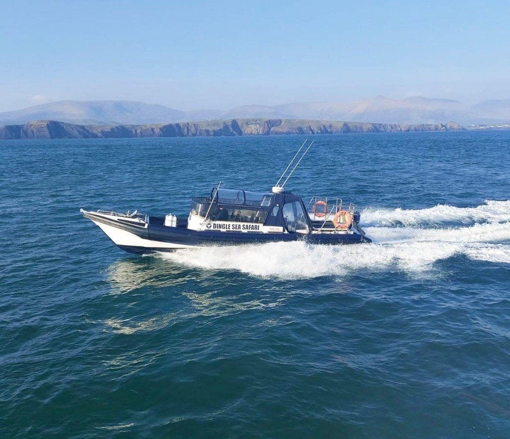 Private Covered Rib Hire