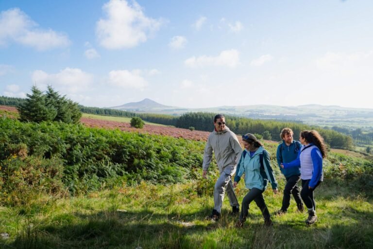 Private Day Tour of Wicklow & Glendalough