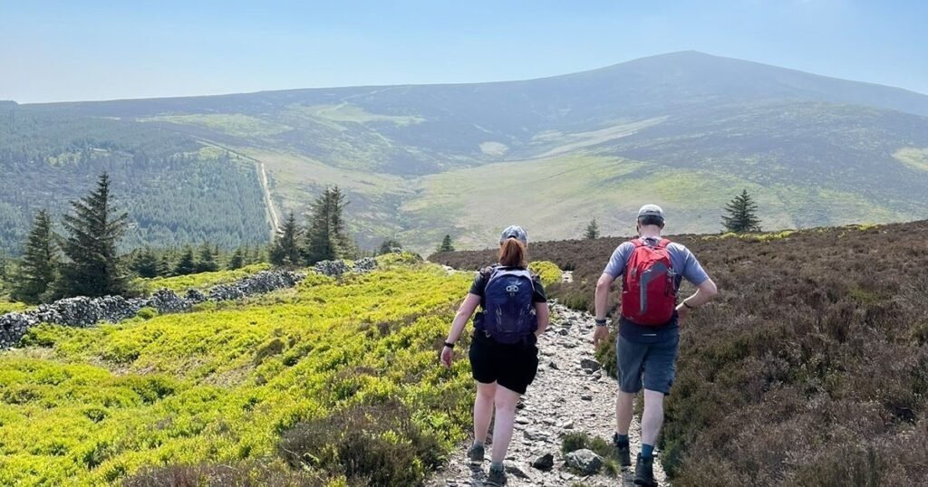 Private Day Trip from Dublin to Glendalough with Guided Hike or Walk