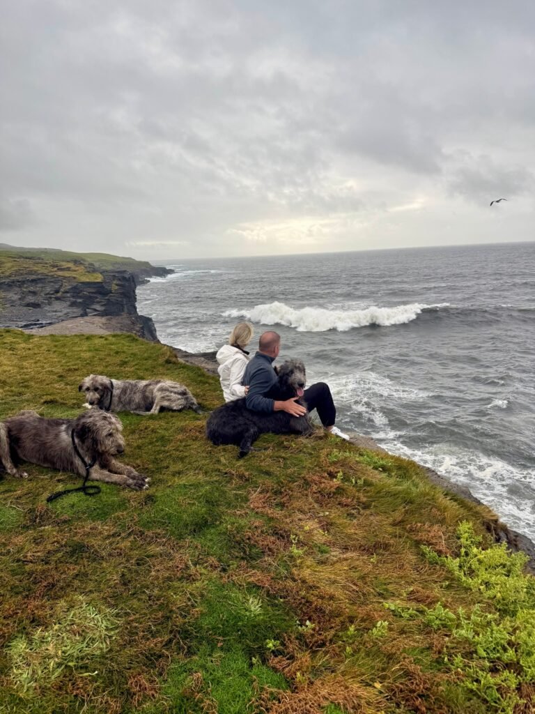 Private Irish Wolfhound Experiences in Doolin