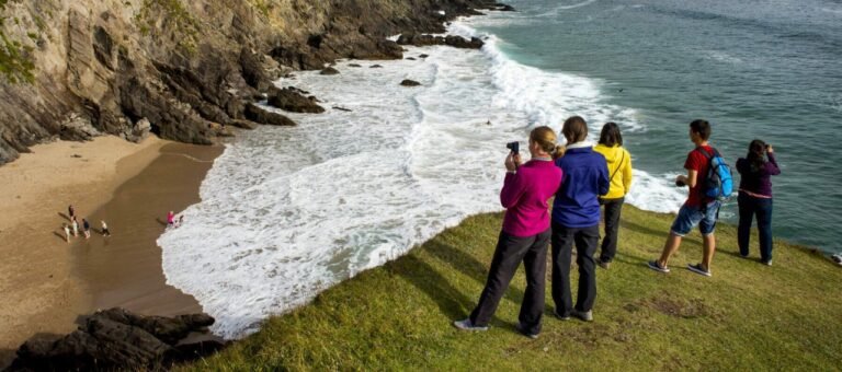 Private tour of Dingle and Slea Head