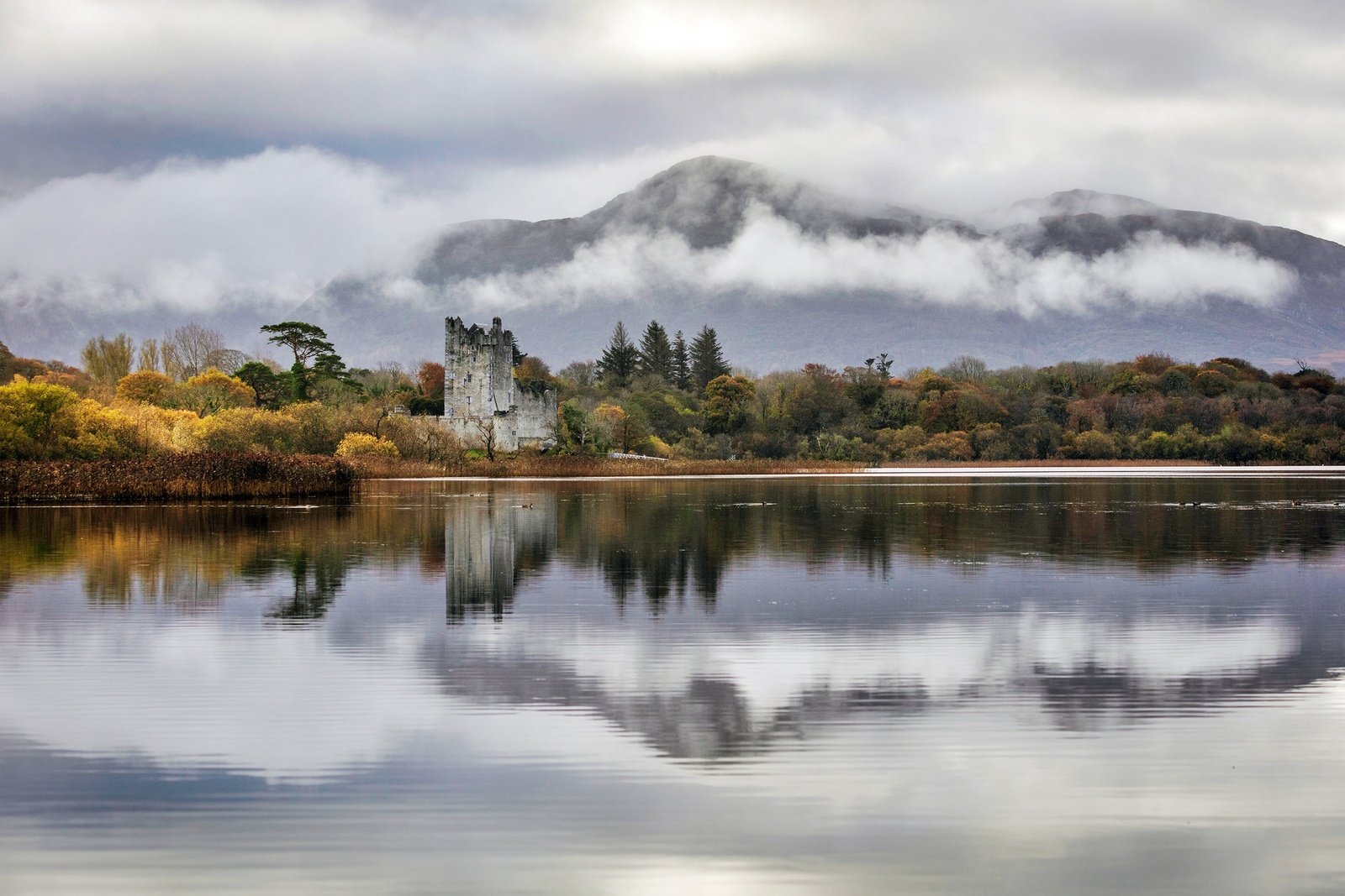 Private Tour of Killarney National Park Tour