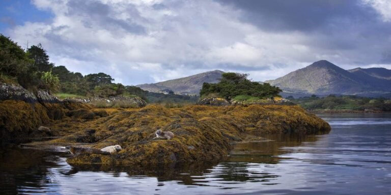 Private Tour to Gougane Barra & Glengarriff