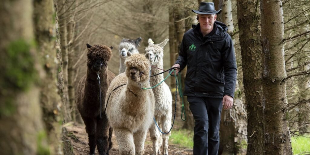 Prosecco and Alpaca Trek