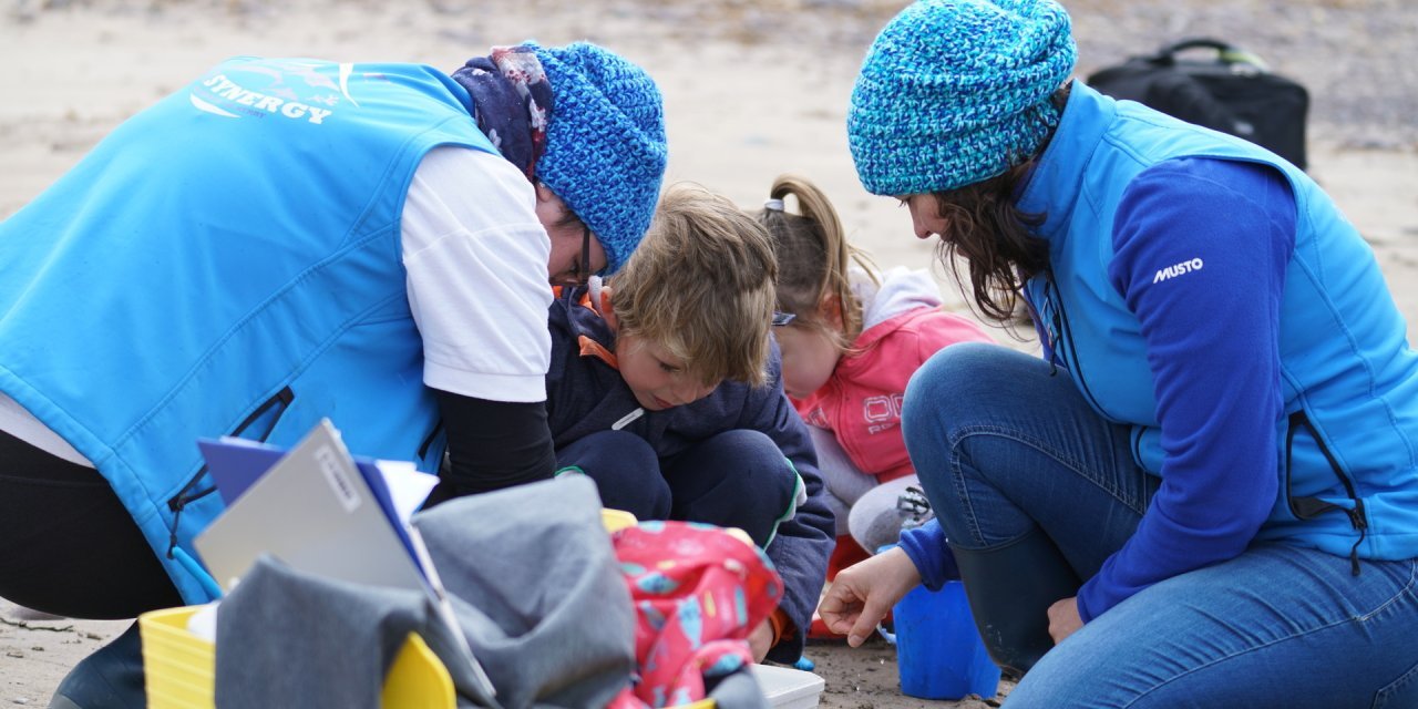 Seashore Safari Tour
