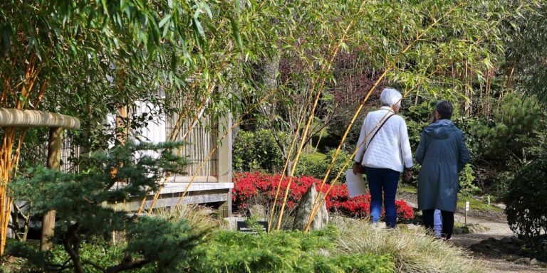 Self-Guided Tour of Lafcadio Hearn Japanese Gardens